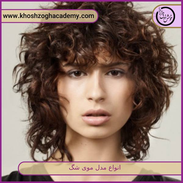 انواع مدل موی شگ
