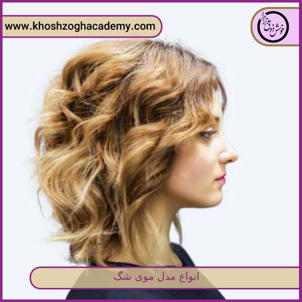 انواع مدل موی شگ