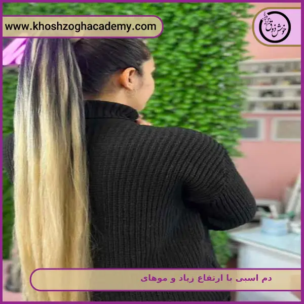 دم اسبی با ارتفاع زیاد و موهای لخت