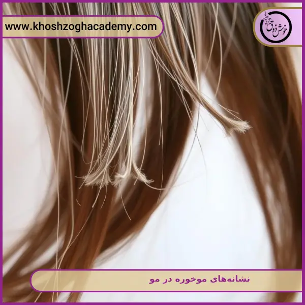 نشانه_های موخوره در مو